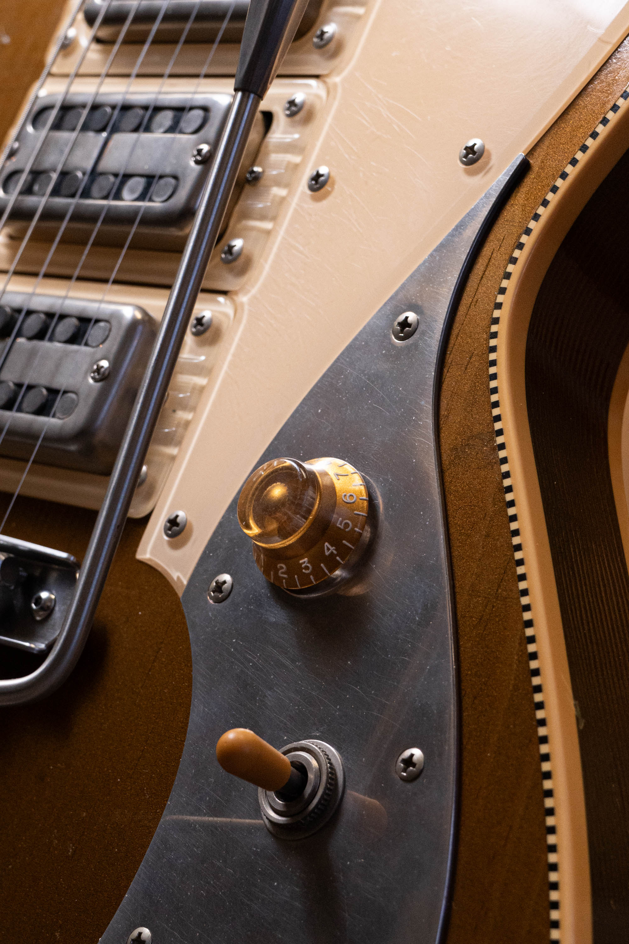 MIRIS J - Gold Top Gold | Signature (3 of 4) - Image 6