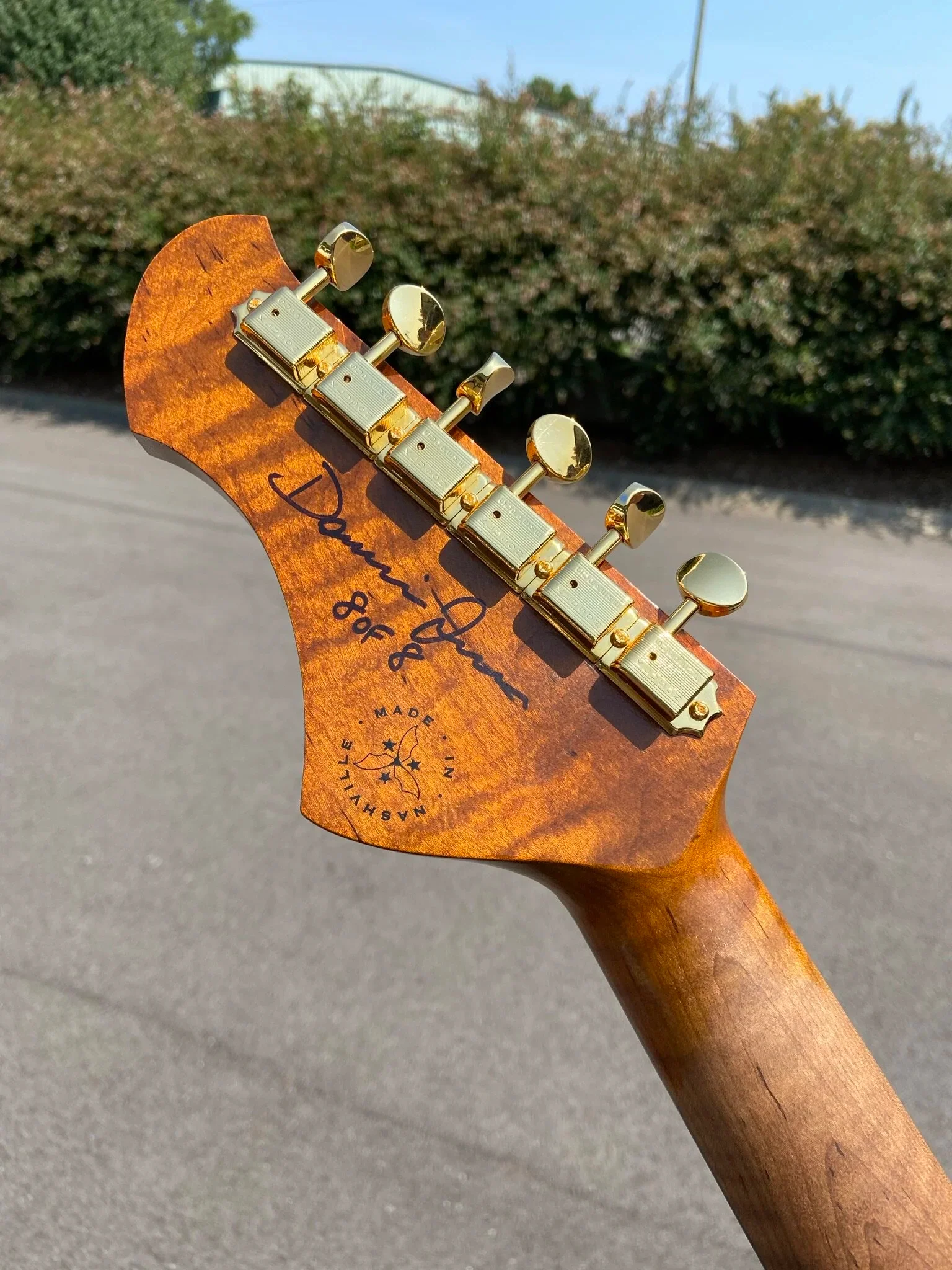 Signature SERUS P2 - Korina (8 of 8) - Image 4