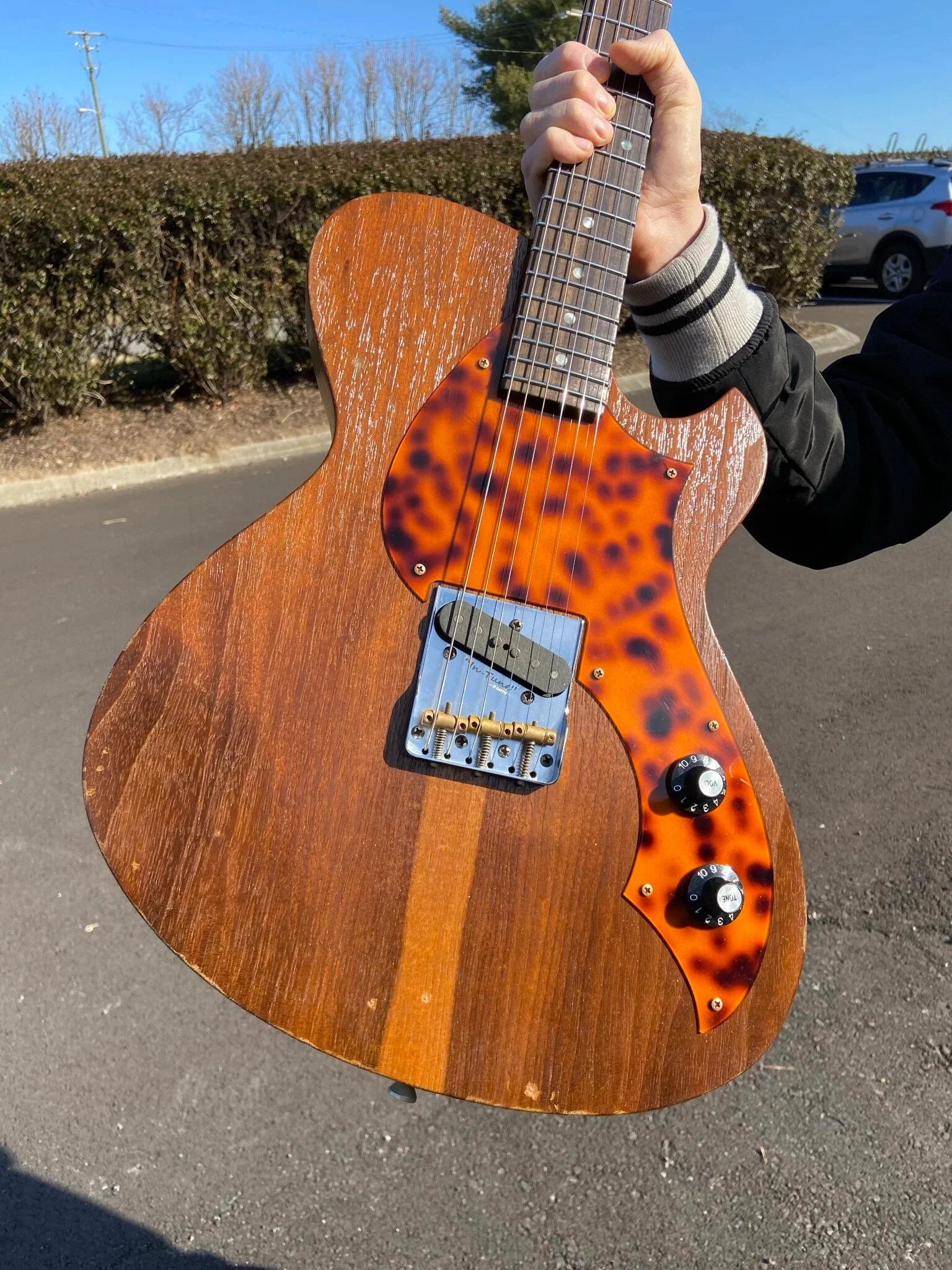 Signature BUTTERNUT SOLUS F1