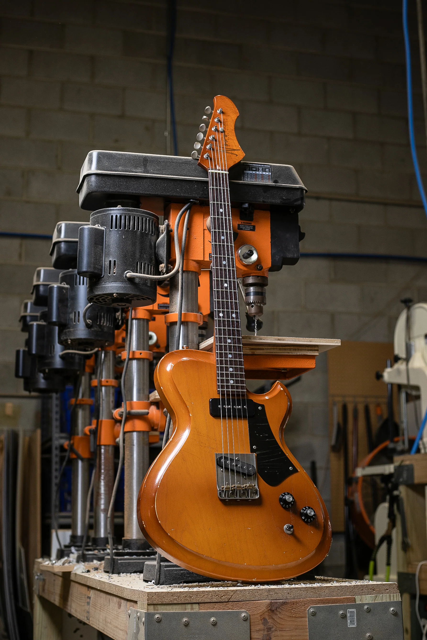Novo Solus F2 in Nicotine Blonde - Image 2